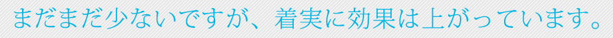 まだまだ少ないですが、着実に効果は上がっています。BtoBサイトの実績が多いです。